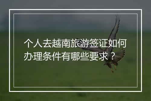 个人去越南旅游签证如何办理条件有哪些要求？