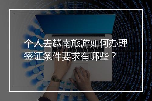 个人去越南旅游如何办理签证条件要求有哪些？
