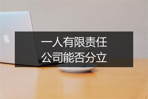 一人有限责任公司能否分立