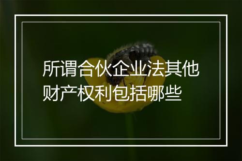 所谓合伙企业法其他财产权利包括哪些
