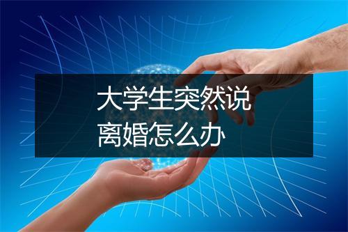 大学生突然说离婚怎么办