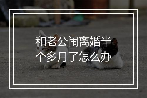 和老公闹离婚半个多月了怎么办