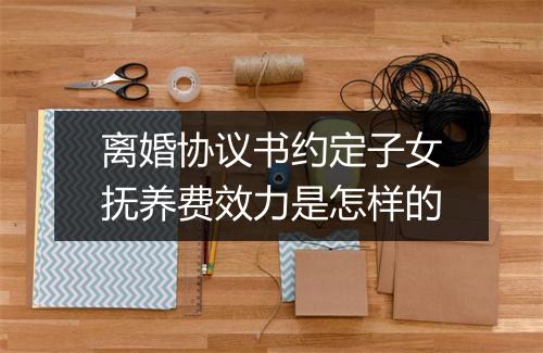 离婚协议书约定子女抚养费效力是怎样的