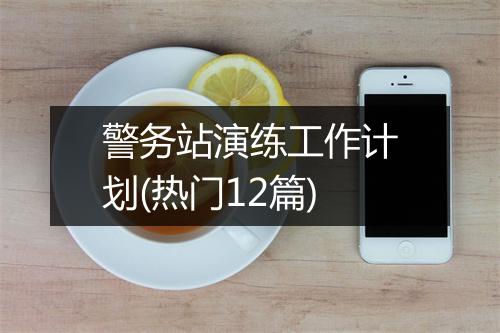 警务站演练工作计划(热门12篇)
