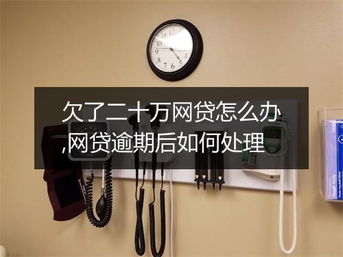 欠了二十万网贷怎么办,网贷逾期后如何处理