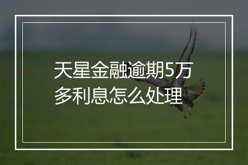 天星金融逾期5万多利息怎么处理