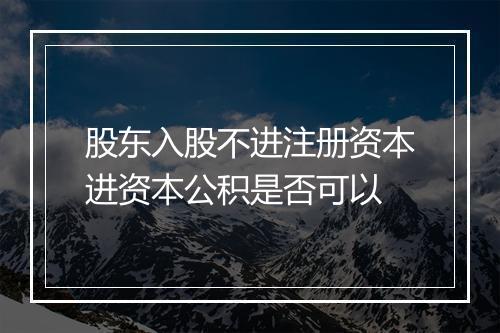 股东入股不进注册资本进资本公积是否可以