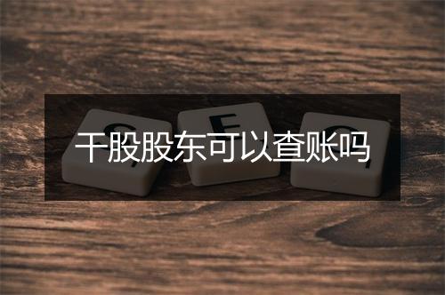 干股股东可以查账吗