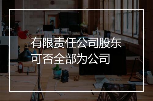 有限责任公司股东可否全部为公司