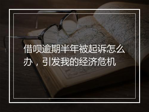 借呗逾期半年被起诉怎么办，引发我的经济危机