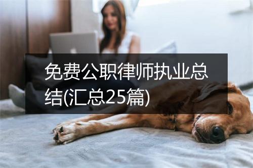 免费公职律师执业总结(汇总25篇)