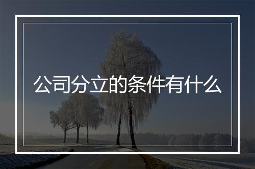 公司分立的条件有什么