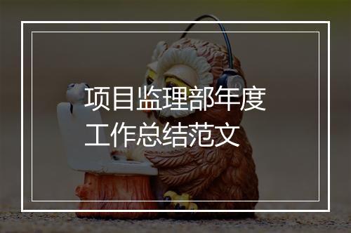项目监理部年度工作总结范文