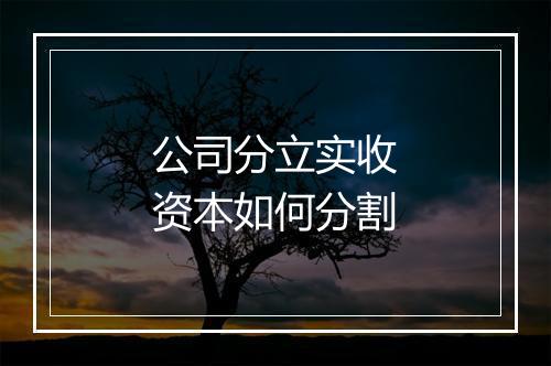 公司分立实收资本如何分割