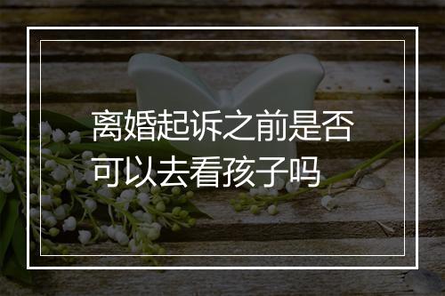 离婚起诉之前是否可以去看孩子吗
