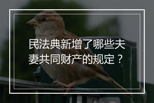 民法典新增了哪些夫妻共同财产的规定？