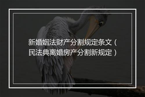 新婚姻法财产分割规定条文（民法典离婚房产分割新规定）
