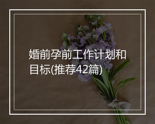 婚前孕前工作计划和目标(推荐42篇)