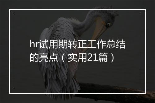 hr试用期转正工作总结的亮点（实用21篇）