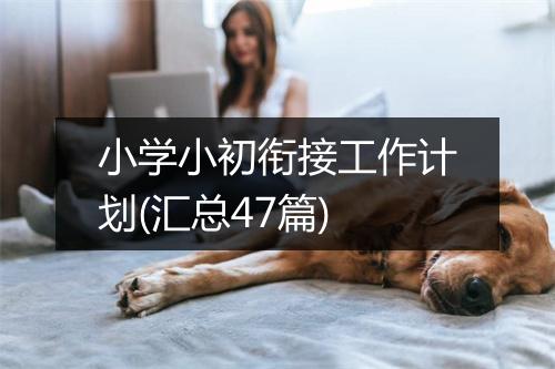 小学小初衔接工作计划(汇总47篇)