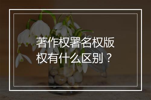 著作权署名权版权有什么区别？