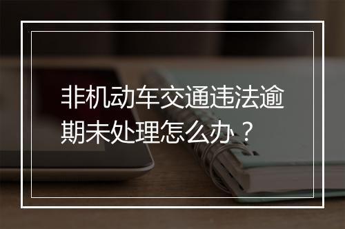 非机动车交通违法逾期未处理怎么办？
