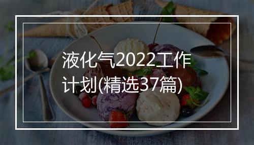 液化气2022工作计划(精选37篇)