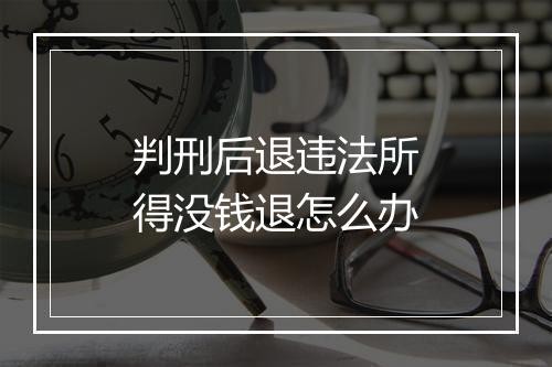 判刑后退违法所得没钱退怎么办