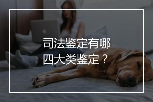 司法鉴定有哪四大类鉴定？