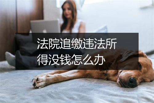 法院追缴违法所得没钱怎么办