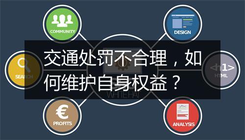交通处罚不合理，如何维护自身权益？
