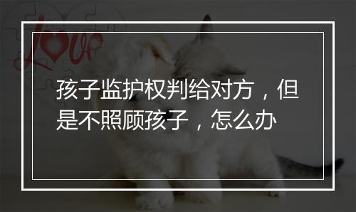 孩子监护权判给对方，但是不照顾孩子，怎么办