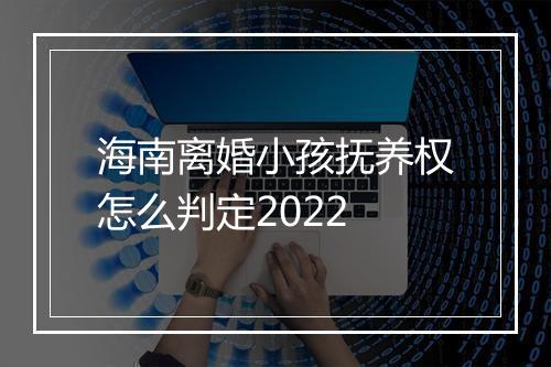海南离婚小孩抚养权怎么判定2022