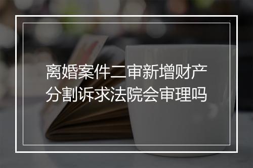 离婚案件二审新增财产分割诉求法院会审理吗