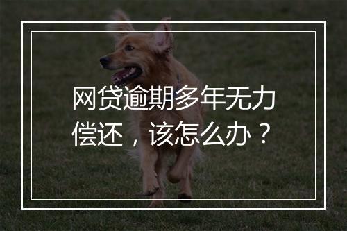 网贷逾期多年无力偿还，该怎么办？