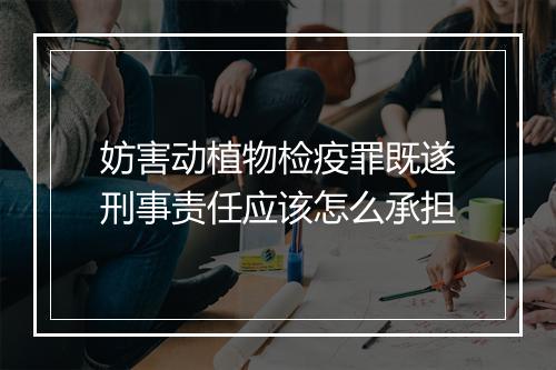 妨害动植物检疫罪既遂刑事责任应该怎么承担