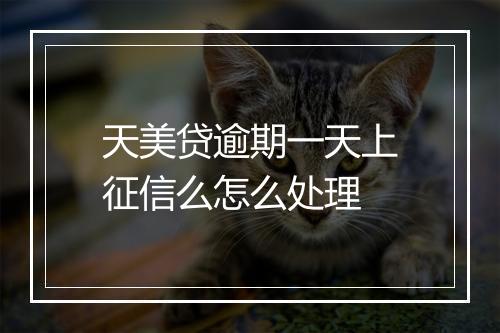天美贷逾期一天上征信么怎么处理