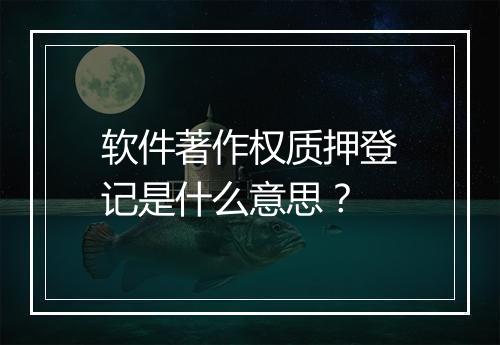 软件著作权质押登记是什么意思？