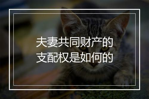 夫妻共同财产的支配权是如何的