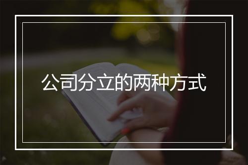 公司分立的两种方式