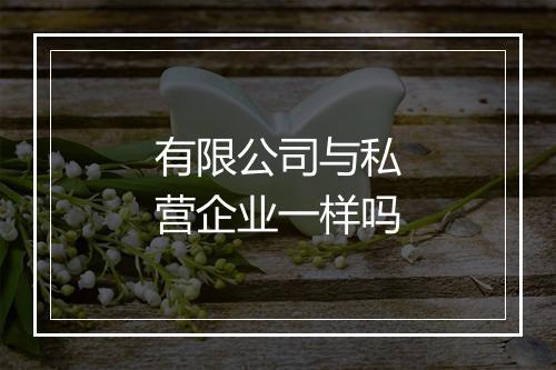 有限公司与私营企业一样吗