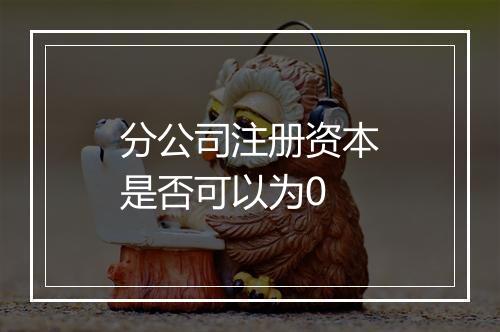 分公司注册资本是否可以为0