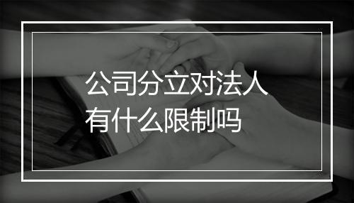 公司分立对法人有什么限制吗