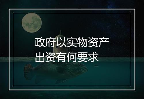 政府以实物资产出资有何要求