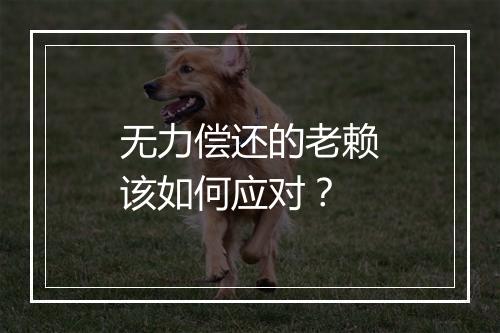 无力偿还的老赖该如何应对？