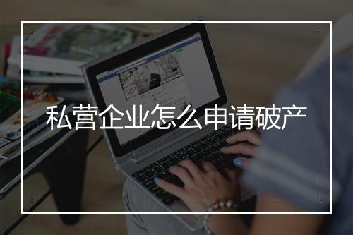 私营企业怎么申请破产
