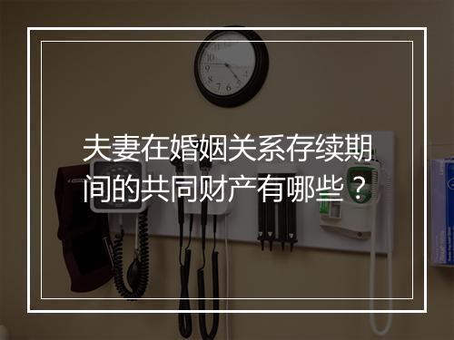 夫妻在婚姻关系存续期间的共同财产有哪些？