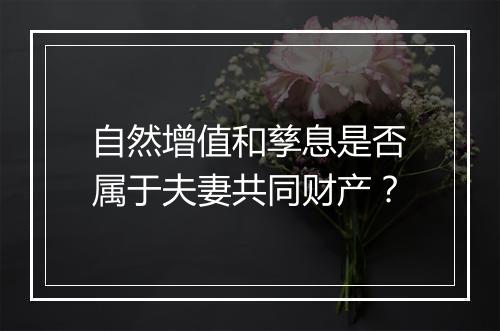 自然增值和孳息是否属于夫妻共同财产？