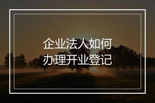 企业法人如何办理开业登记