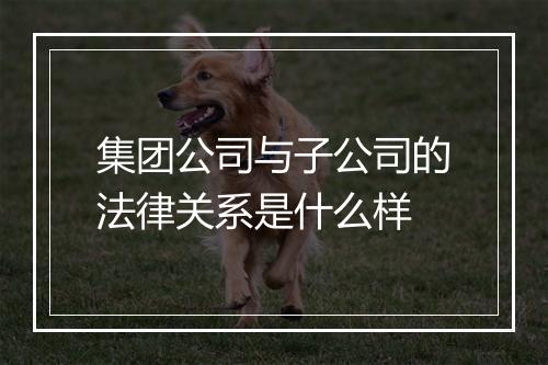 集团公司与子公司的法律关系是什么样